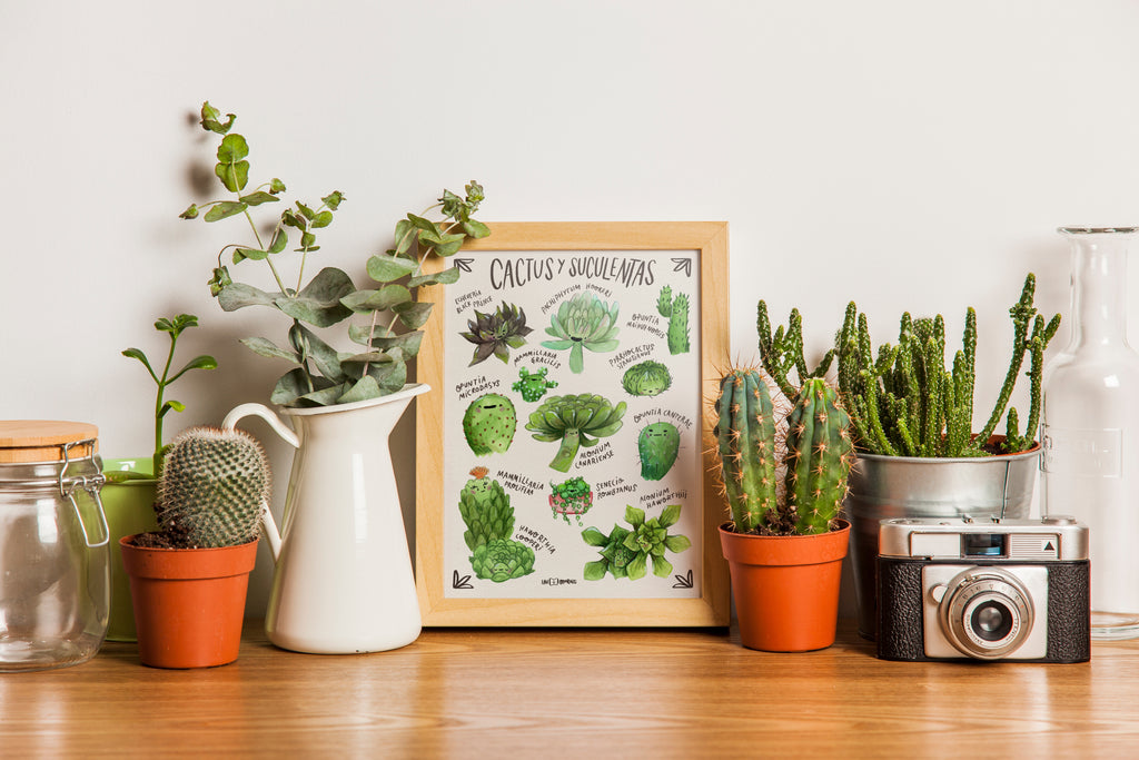 Cactus y Suculentas (print A4)