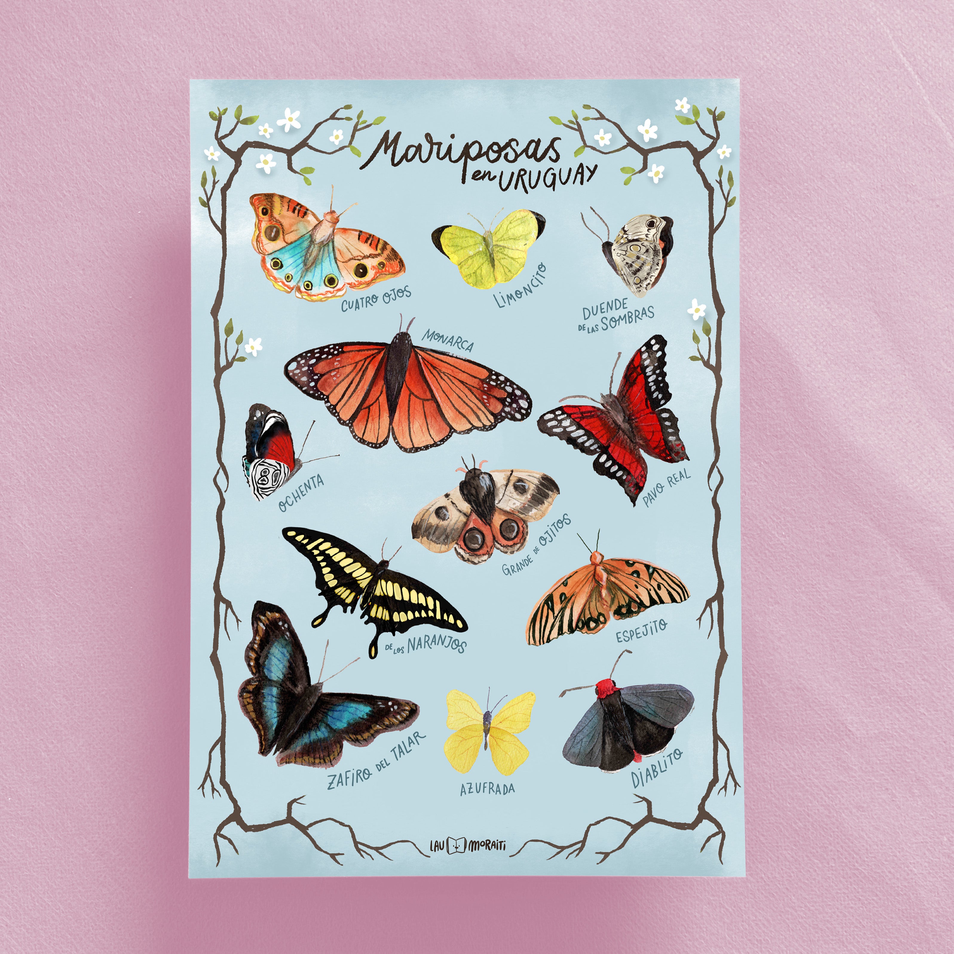 Mariposas en Uruguay (print A4)
