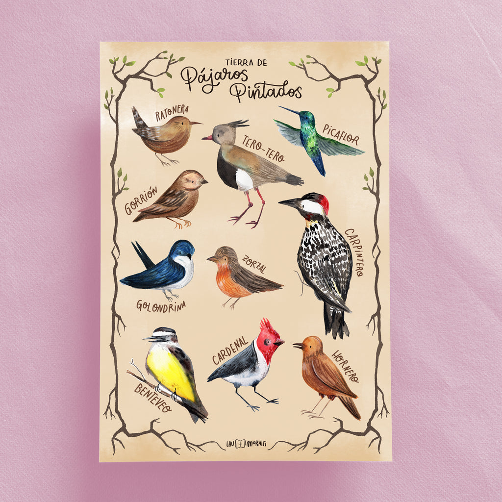Pajaros Pintados (print A4)